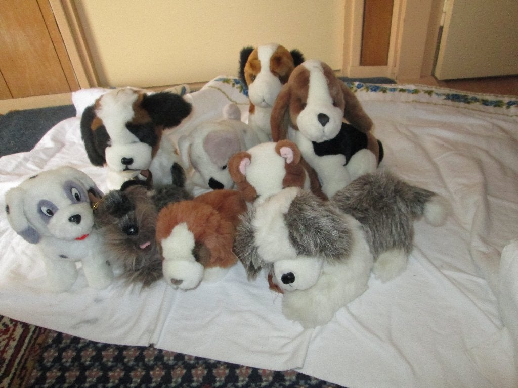 9 GROTEN HONDEN KNUFFELS, Ophalen, Nieuw, Overige typen
