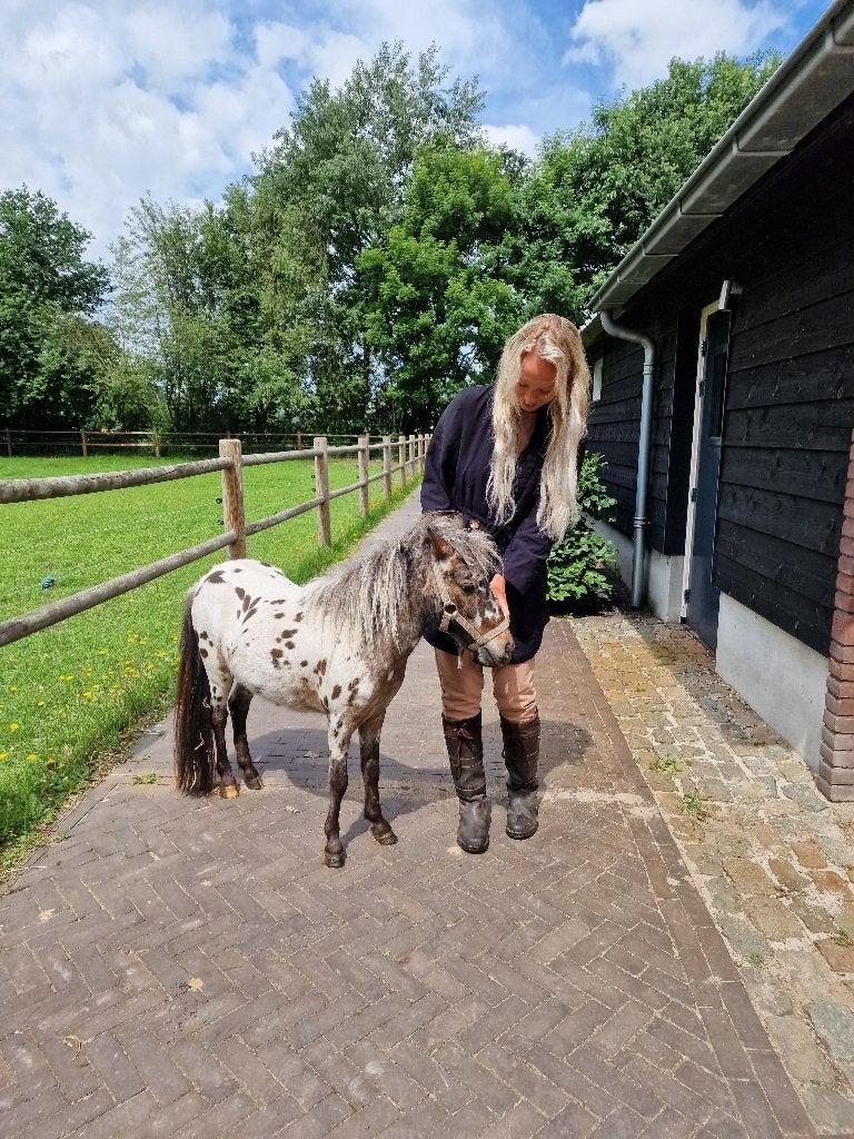 Prachtige Appaloosa mini paardje - Sprinkle, Dieren en Toebehoren, Merrie, Zadelmak, A pony (tot 1.17m), 3 tot 6 jaar