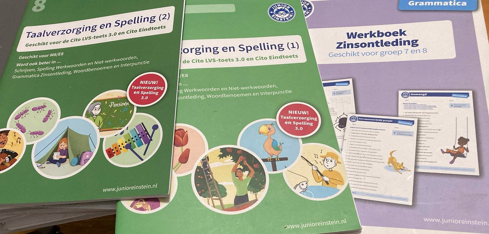 Oefenboeken Junior Einstein, Ophalen of Verzenden, Zo goed als nieuw, Overige niveaus, Nederlands