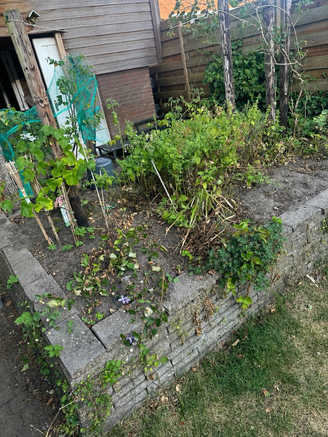 Gratis af te halen: verhoogde plantenbak / verhoogde border, Tuin en Terras, Bielzen en Borders, Ophalen, 25 tot 50 cm, 25 cm of meer