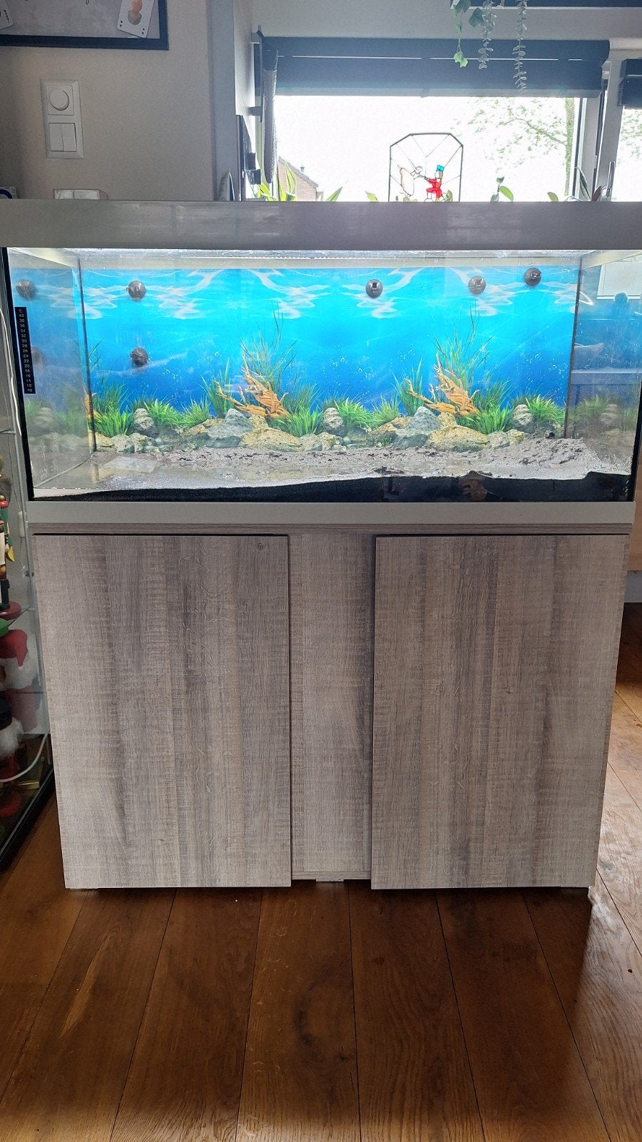 Eheim AQUARIUM VIVALINE 180 set (101x41x119 cm ), Ophalen, Zo goed als nieuw, Leeg aquarium, Eheim
