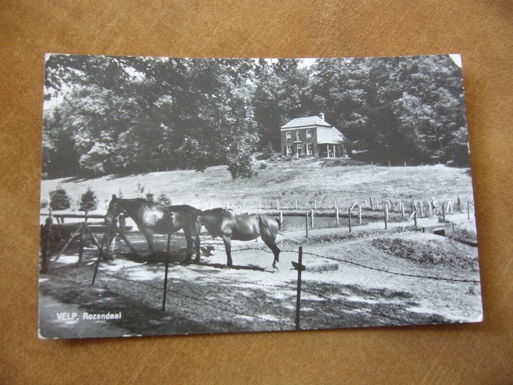 VELP  =  ROZENDAAL, Ophalen of Verzenden, 1940 tot 1960, Gelopen, Gelderland