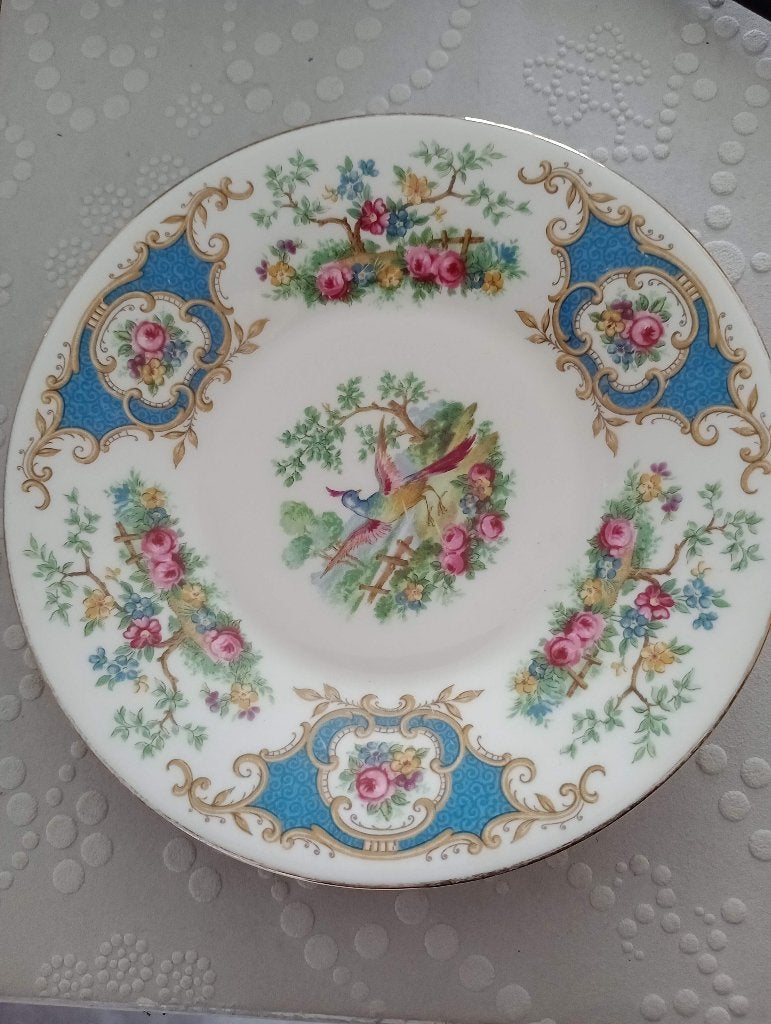 Schoteltje Bone China, Ophalen of Verzenden, Zo goed als nieuw, Porselein, Kop en/of schotel