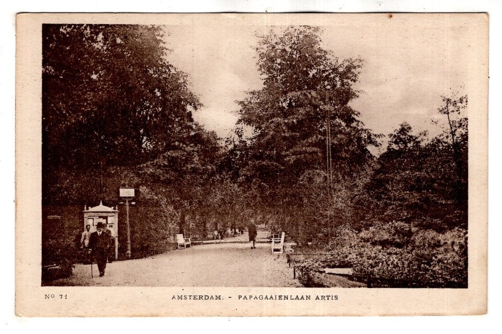 Amsterdam Dierentuin Artis  Papagaaienlaan, Ophalen, Ongelopen, Noord-Holland