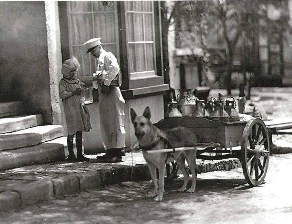 Vervoer-Beroepen-Foto-TVH-67       Repro-, Verzenden, 1980 tot heden, Foto, Nieuw