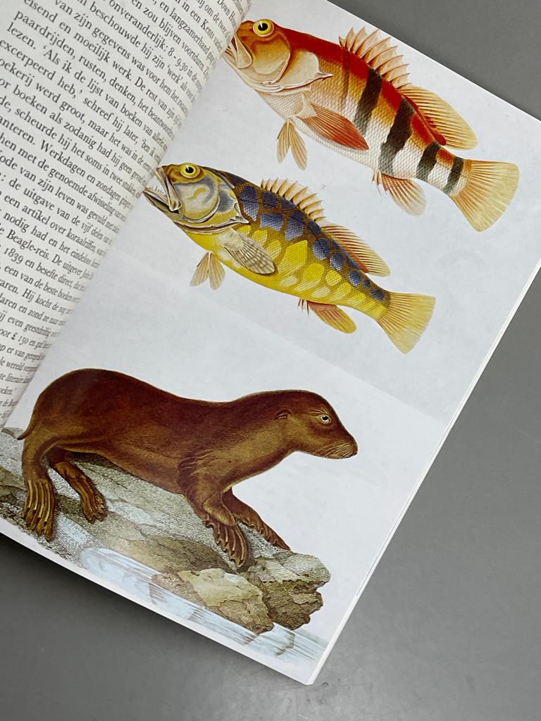 Darwin and the Beagle  een scheepsreis in de oertijd, Ophalen of Verzenden, Zo goed als nieuw, Overige wetenschappen