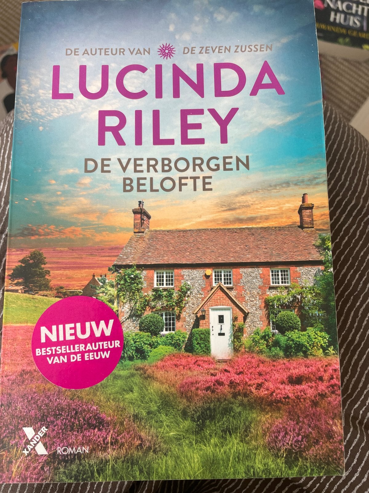 Lucinda Riley - De Verborgen Belofte (Roman), Ophalen of Verzenden, Gelezen, Nederland