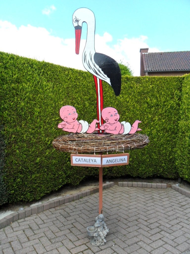 Geboorteborden b.v. ooievaar met tweeling baby`s op nest., Ophalen, Nieuw, Geboortebord
