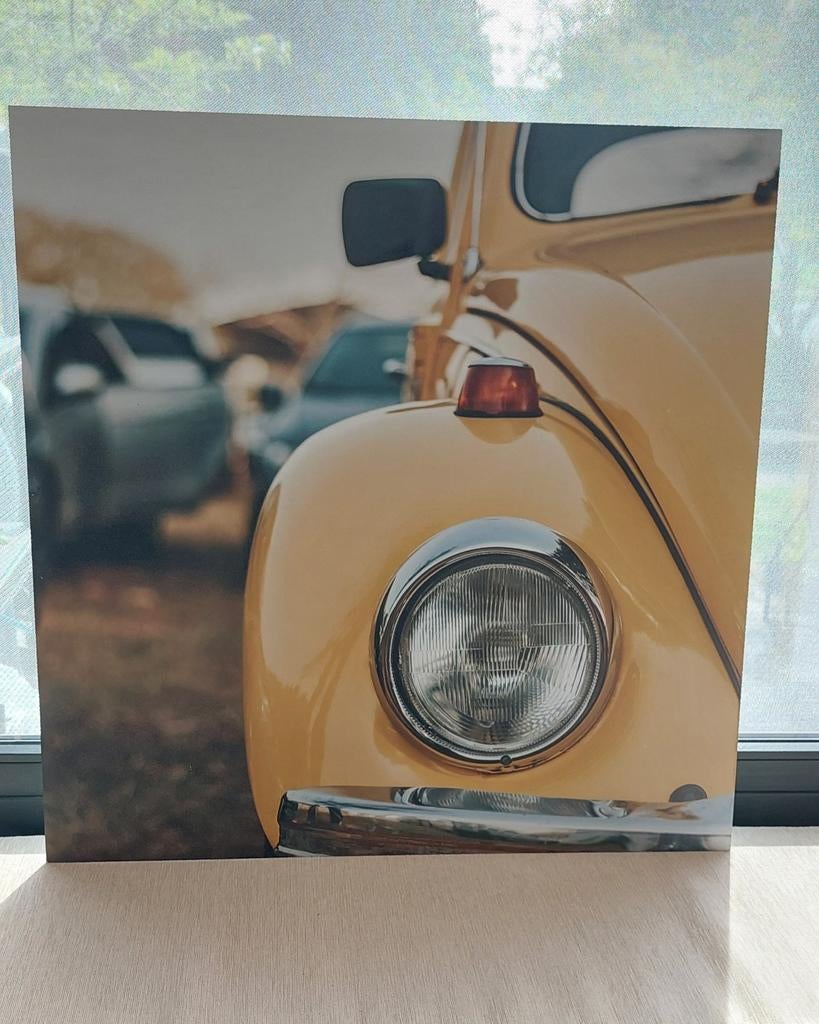 Dibond plaat 90x90 cm - Gele Kever, Ophalen, Zo goed als nieuw, 75 tot 100 cm, Print
