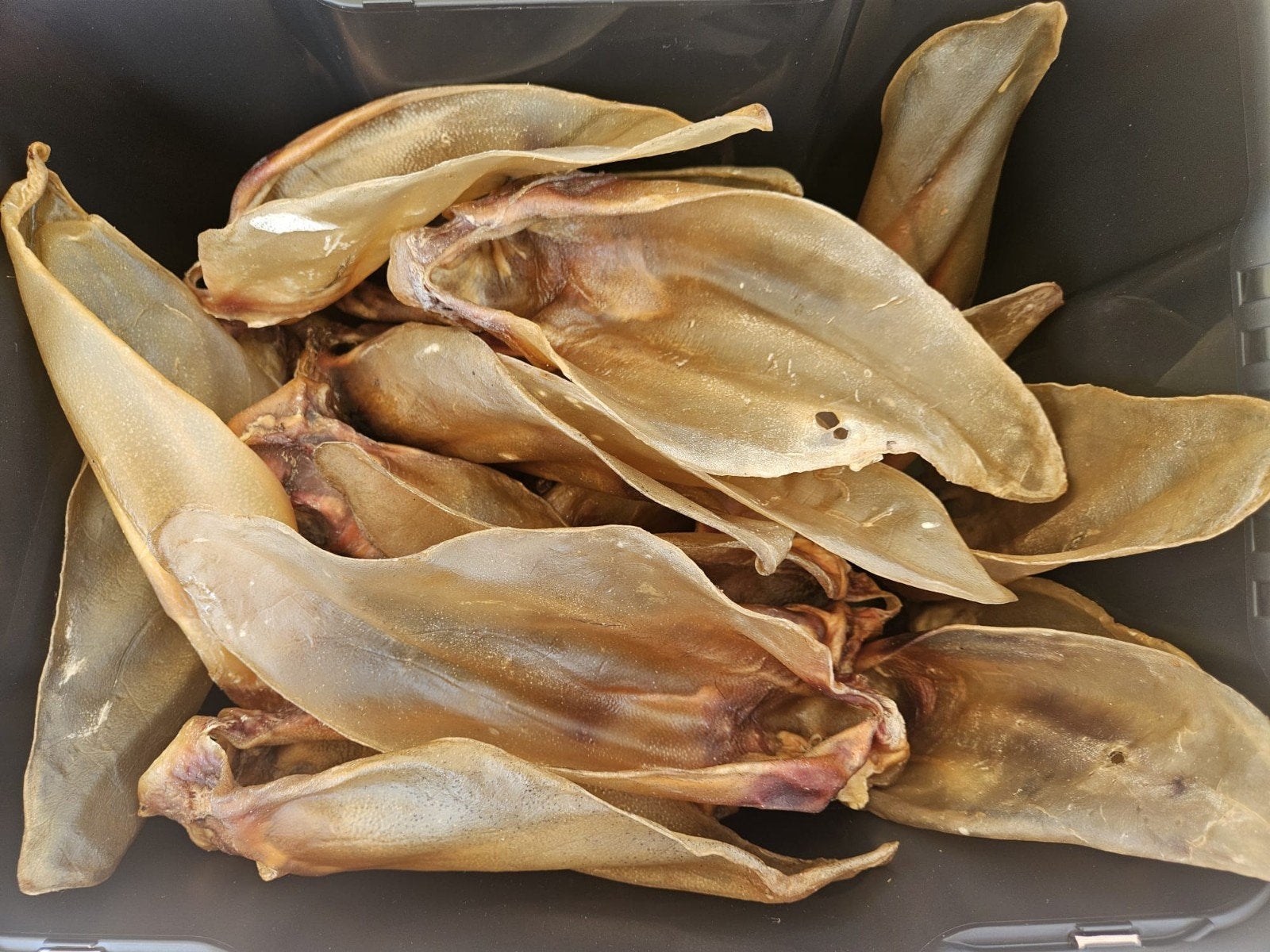 Honden snacks, Ophalen, Hond
