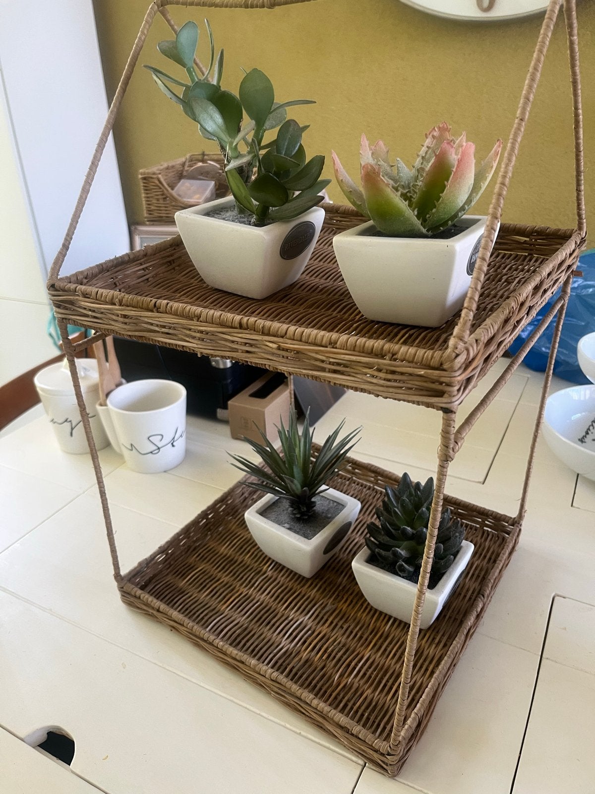 Rivièra maison rek (met 4 kunstplantjes)- Rotan/Wicker, Boho, Ophalen of Verzenden, Zo goed als nieuw, Natuurlijk materiaal