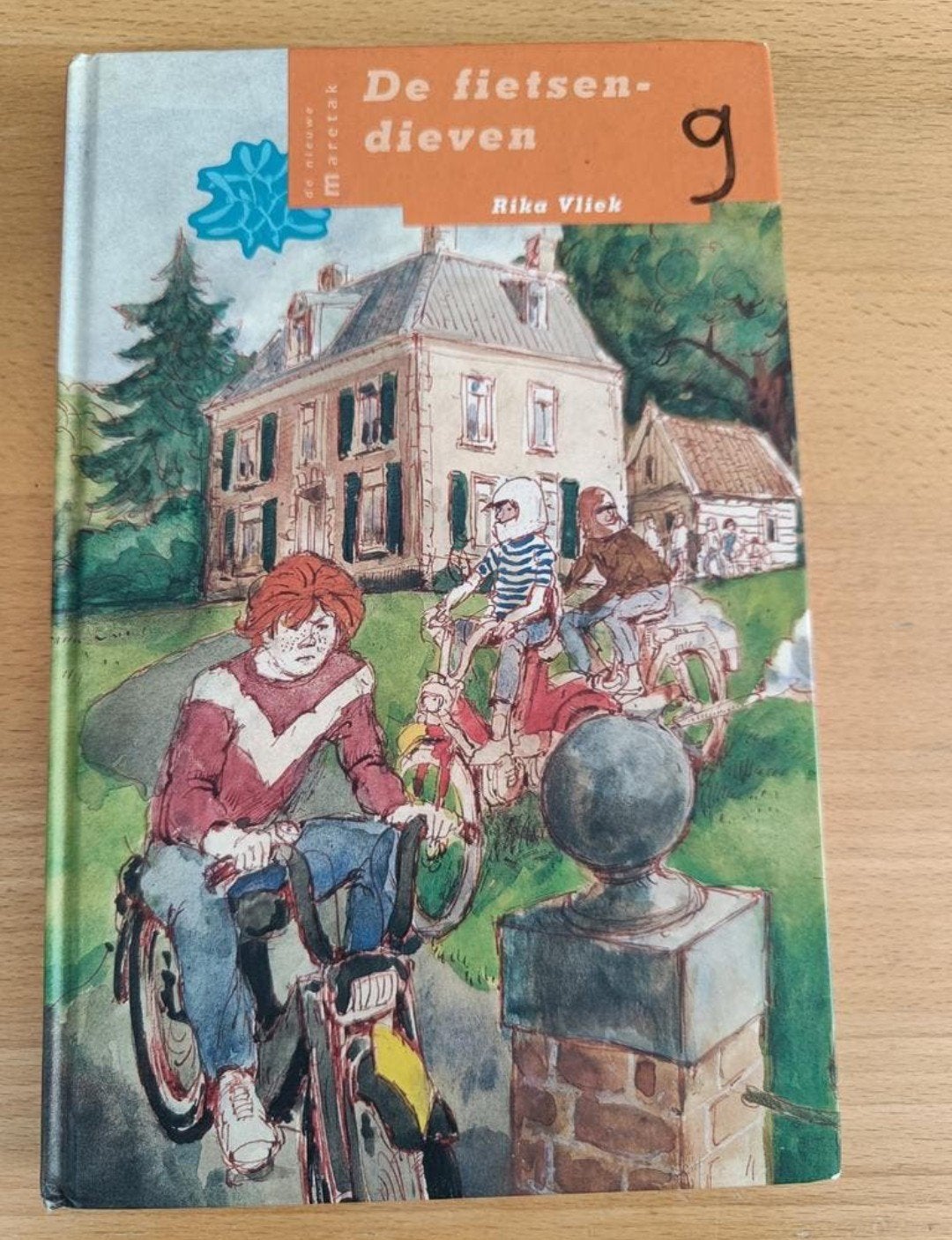 De fietsendieven - Rika Vliek (Jeugdboek), Ophalen of Verzenden, Gelezen, Rika Vliek, Fictie algemeen