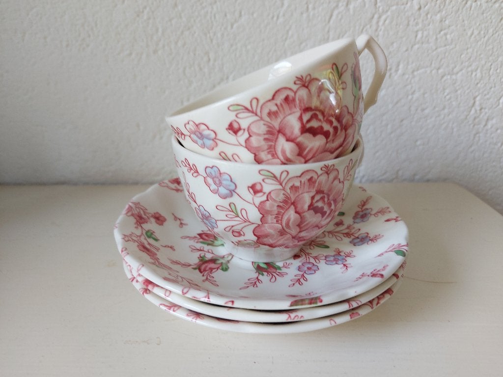 Johnson Brothers Rose Chintz thee kop & schotel 2 stuks, Gebruikt, Ophalen of Verzenden, Overige stijlen, Kop(pen) en/of Schotel(s)