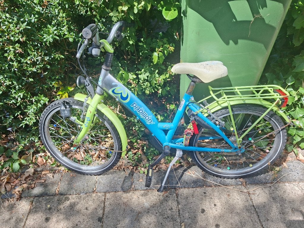 Fiets 20 inch, Ophalen, Terugtraprem, Papillon, 16 tot 20 inch