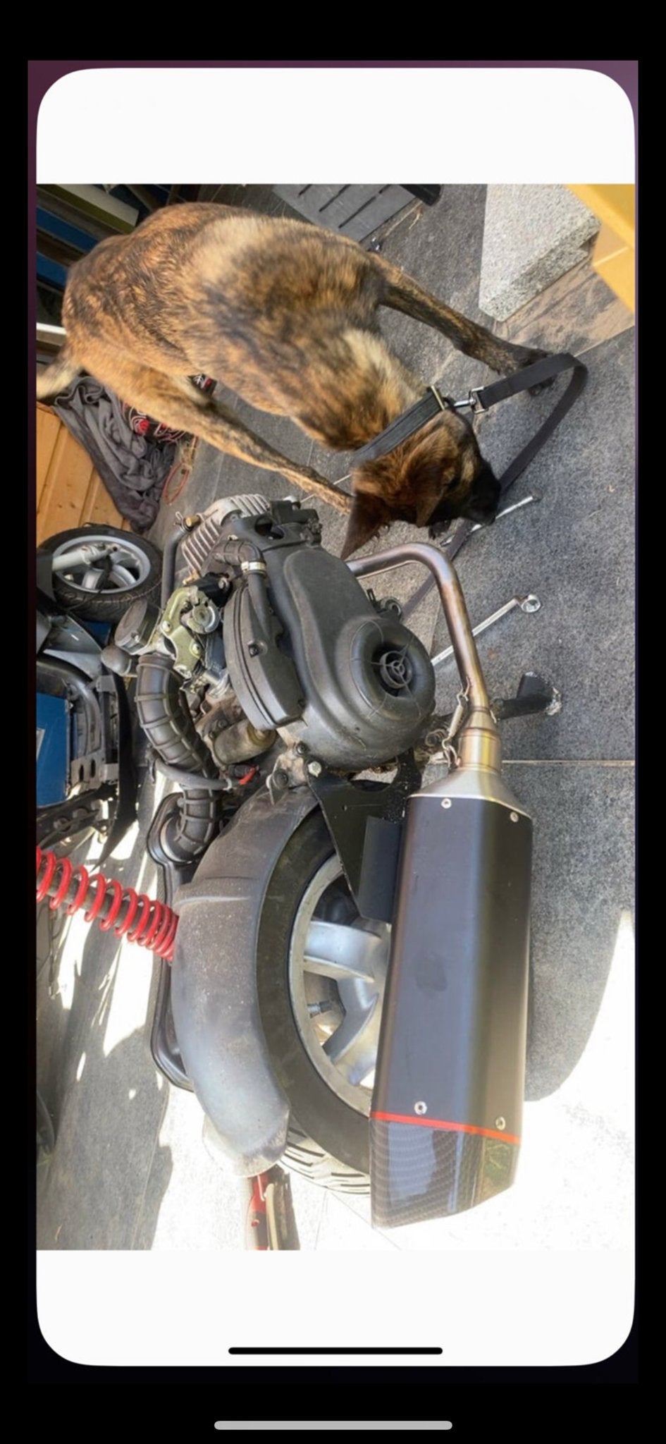 50/80cc 4T Scooterblok met nieuwe onderdelen, Ophalen of Verzenden, Gebruikt, Blok, Overige merken