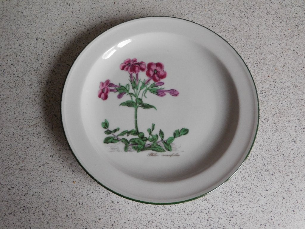 Bord 19 cm. Renate Seltmann Weiden Bavaria Germany, Ophalen of Verzenden
