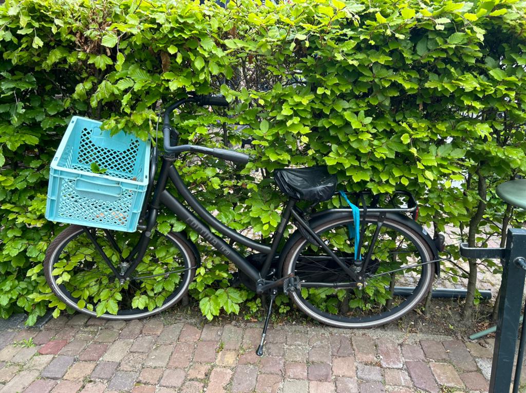 CORTINA U4 26 INCH MAT ZWART kinderfiets, 26 inch of meer, Gebruikt, Versnellingen, Ophalen of Verzenden