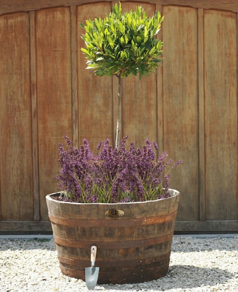 Kuipen Plantenbak Waterornament Vijver, Nieuw, Barrel Atelier, Ophalen of Verzenden, Info@barrelatelier.nl