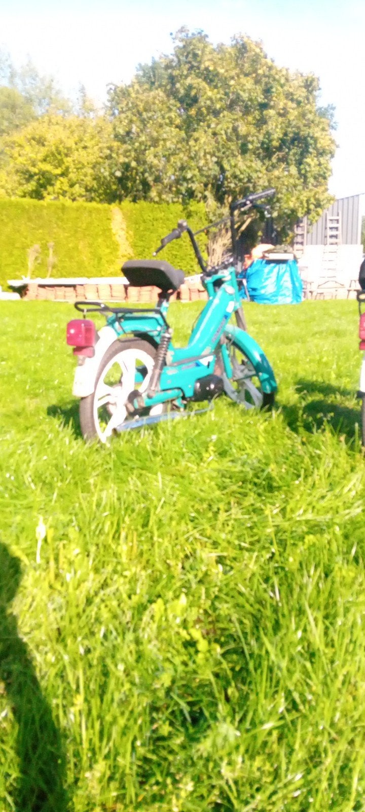 tomos s25 originele lak, Fietsen en Brommers, Ophalen, Gebruikt, 1 versnellingen, 50 cc
