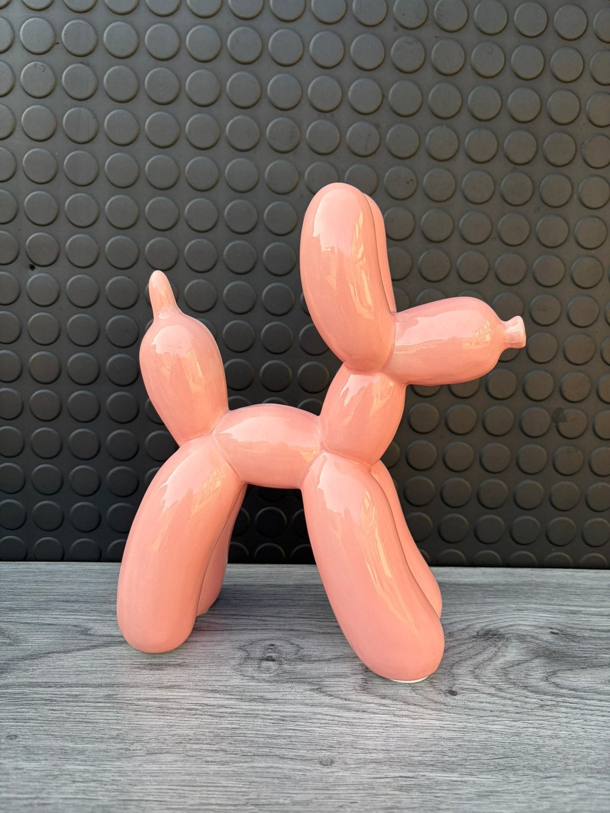 ballon hond 25x25cm/Nieuw!, Verzamelen, Ophalen of Verzenden, Nieuw
