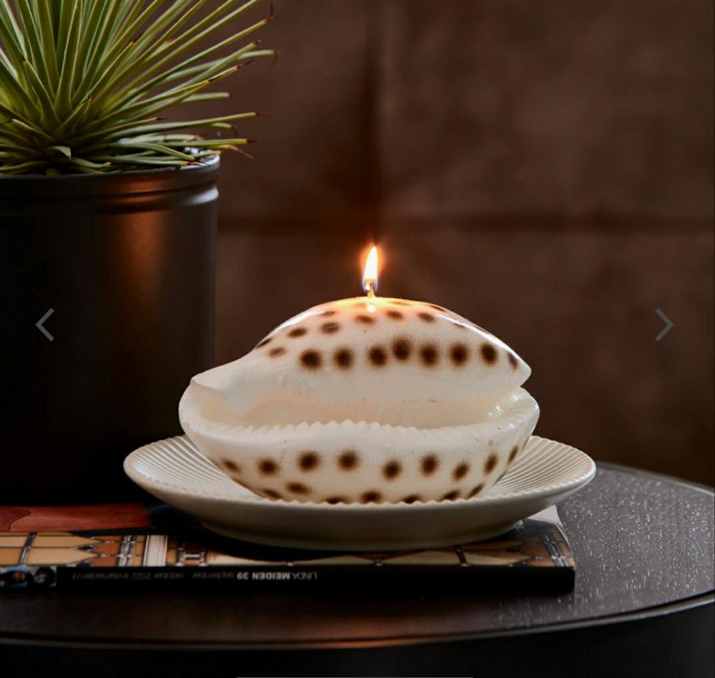 Riviera maison shell candle, Ophalen, Nieuw, Overige materialen, Minder dan 25 cm