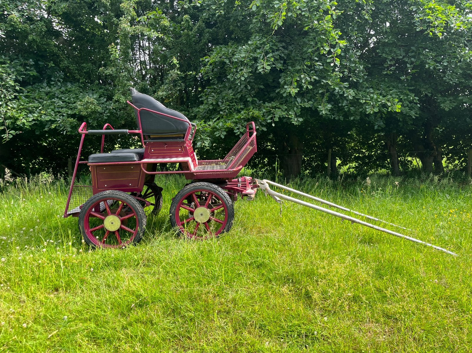 Marathon wagen (Kooi)en dubbelspan Shetlander tuig, Gebruikt, Marathonwagen, Pony