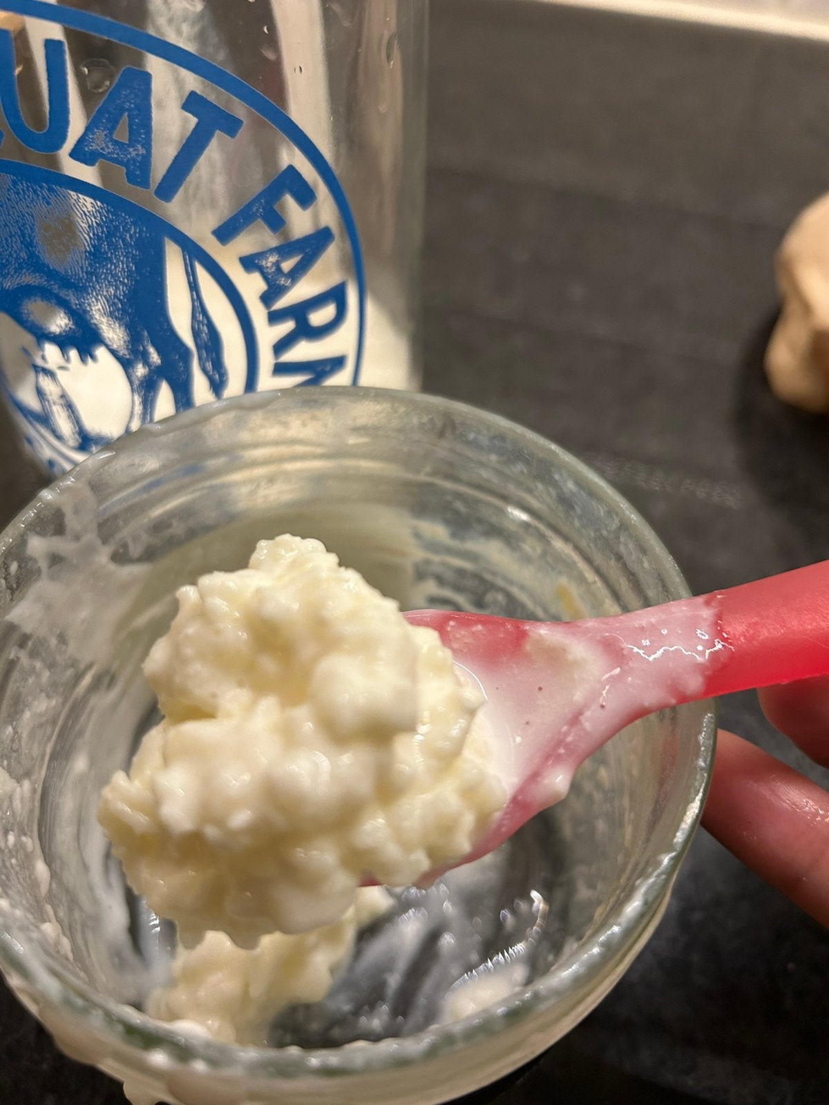 Melk kefir korrels, Ophalen of Verzenden