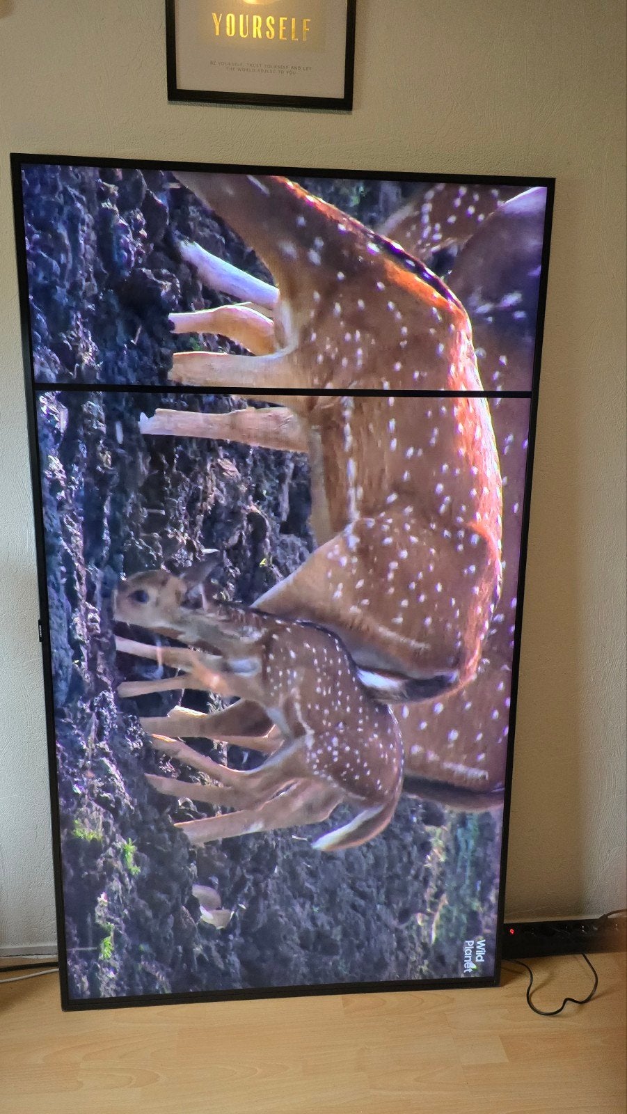 Samsung Q60 75 inch QLED TV - defect scherm, voor onderdelen, Ophalen, 100 cm of meer, Samsung
