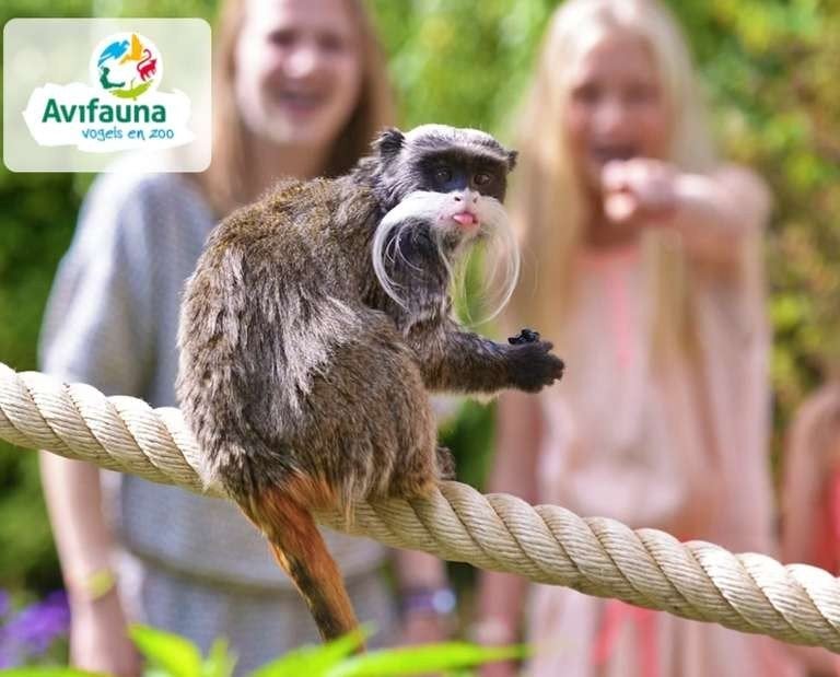 Avifauna Vogelpark tickets 14 euro per stuk t/m 31 augustus, Twee personen, Ticket of Toegangskaart