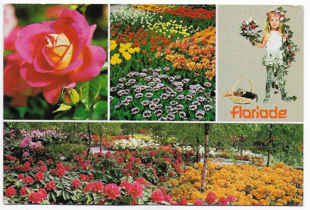 Amsterdam Floriade Ansichtkaart uit 1972 ( B5691, Ophalen of Verzenden, 1980 tot heden, Gelopen, Noord-Holland