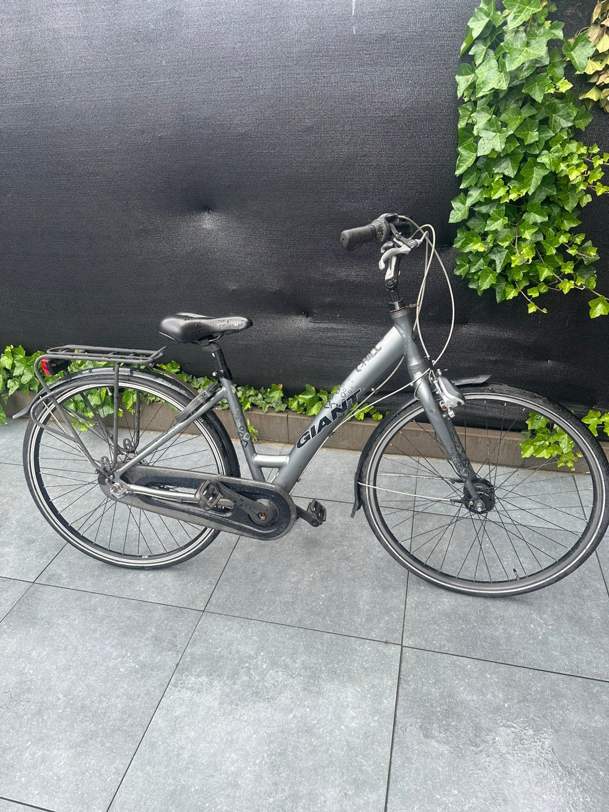 Dames Giant fiets te koop, Ophalen, Gebruikt, Velgrem, 47 tot 50 cm