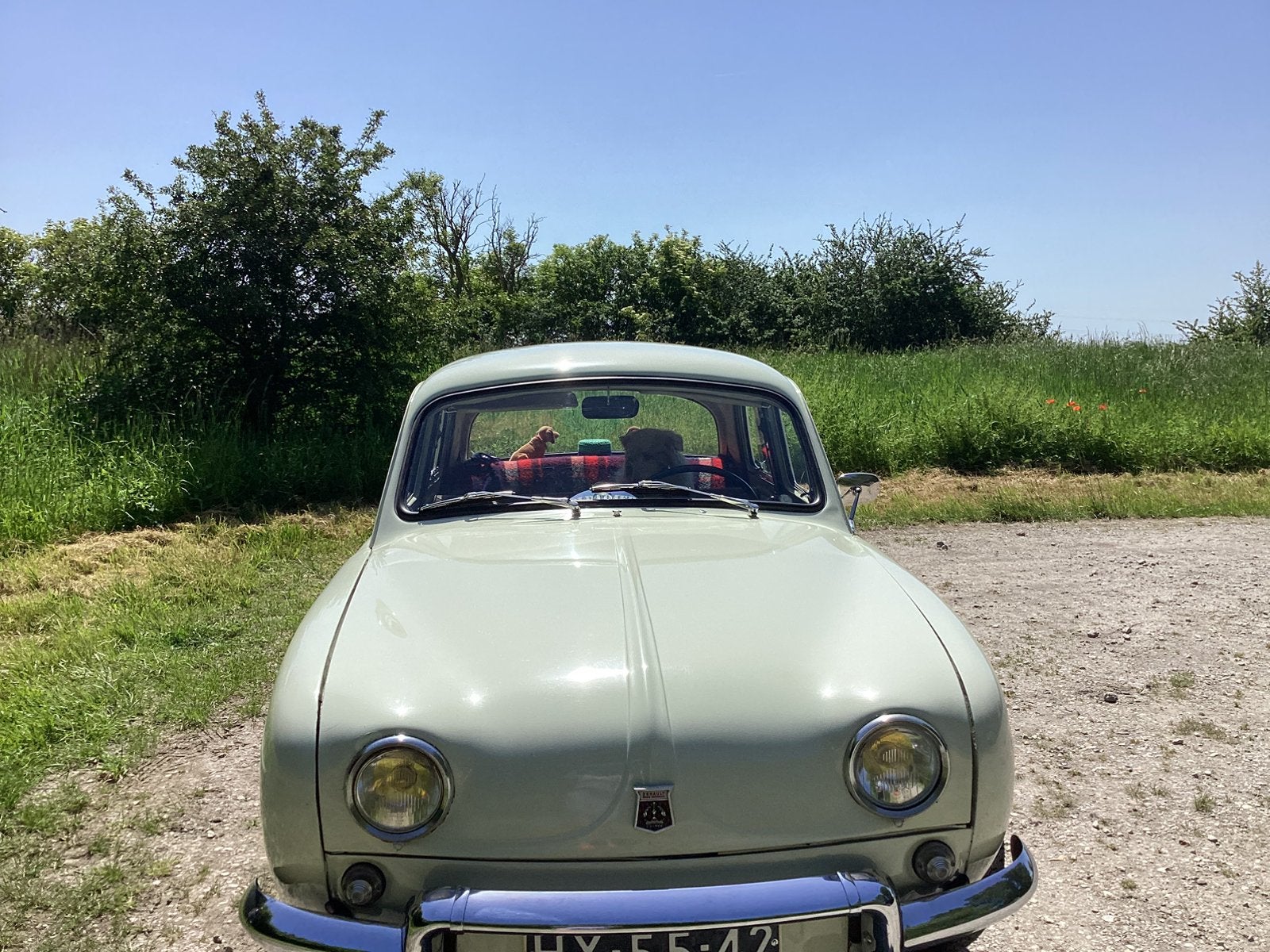 Te koop Renault Daupine., Auto's, Overige modellen, Beige, Bruin, Particulier