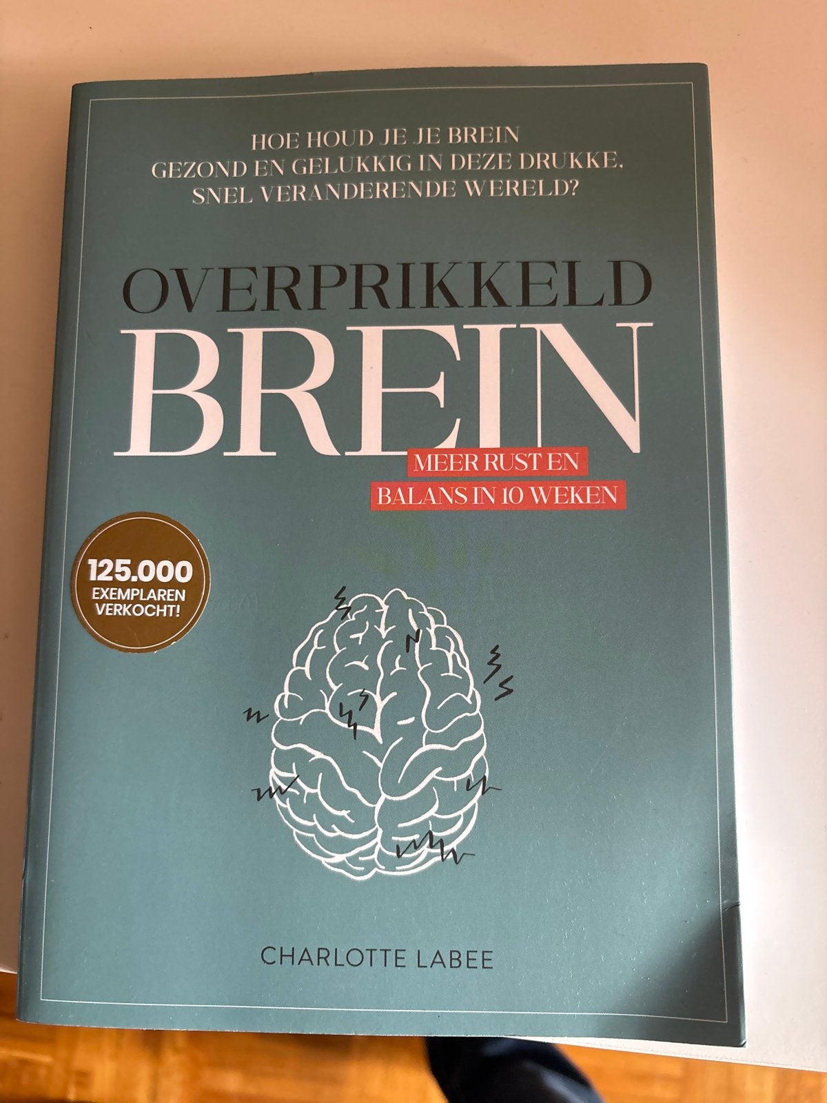 Overprikkeld Brein - Meer rust en balans in 10 weken, Ophalen of Verzenden, Zo goed als nieuw