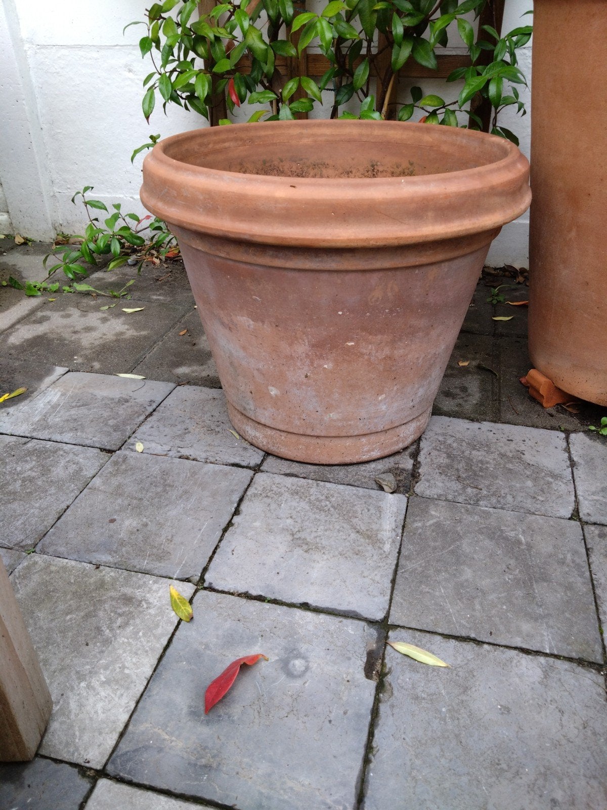 Italiaanse terracotta pot, grote maat, Ophalen, Rond, 40 cm of meer
