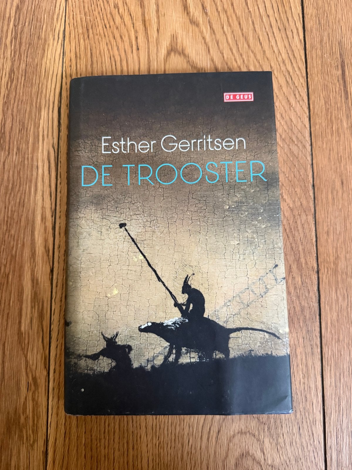 De Trooster - Esther Gerritsen (Boek), Verzenden, Zo goed als nieuw, Nederland