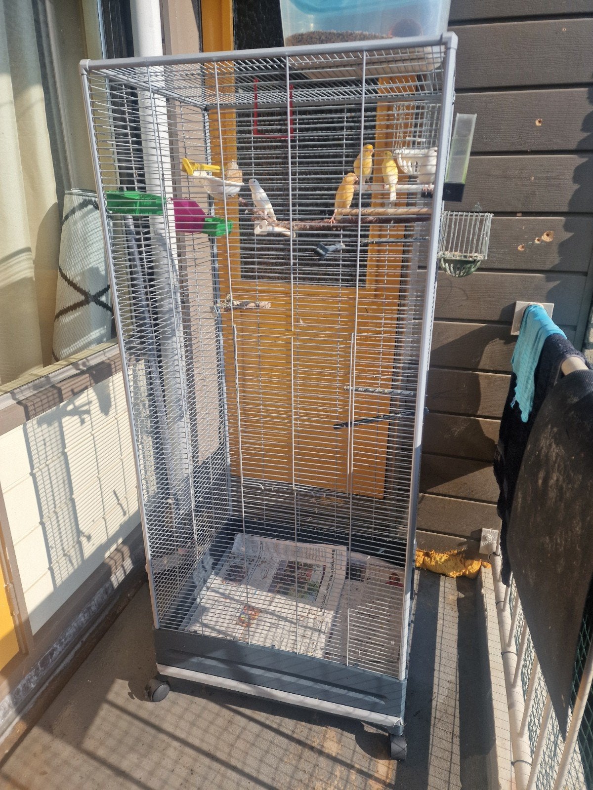 grote vogelkooi, Ophalen, Zo goed als nieuw, Aluminium, Vogelkooi