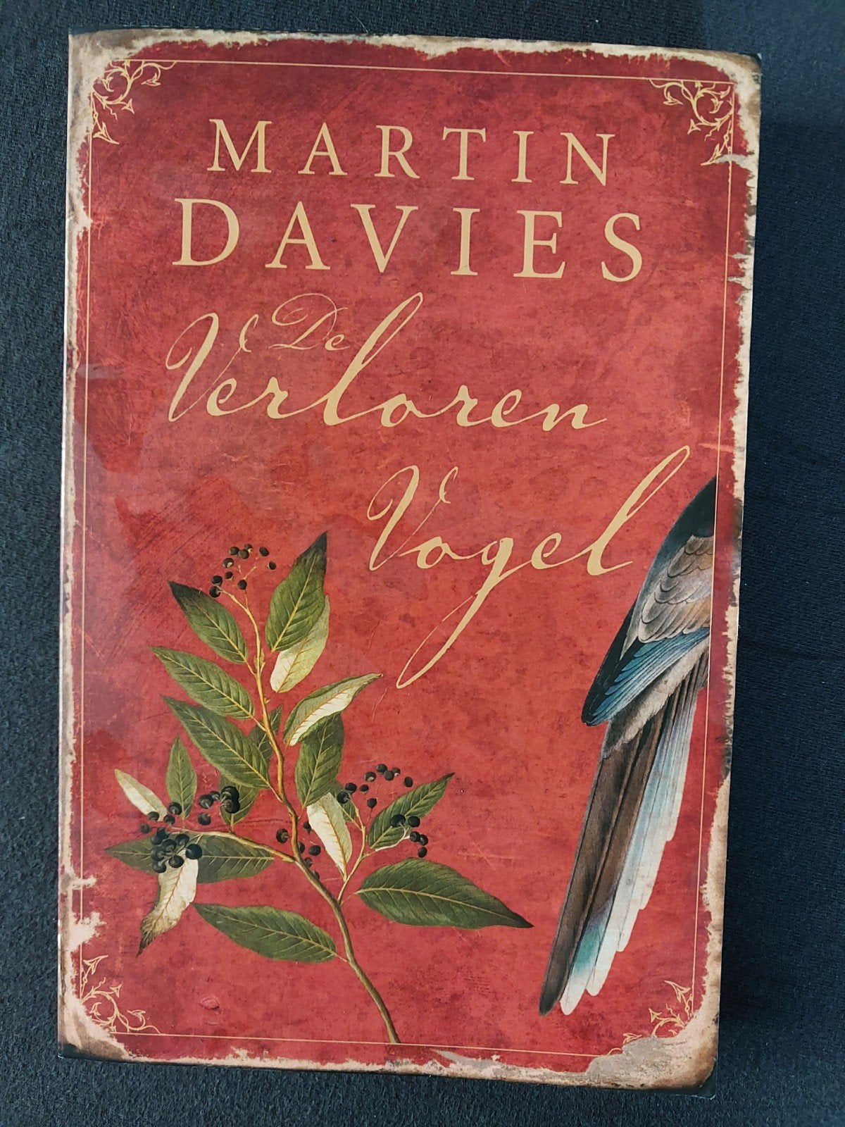 Martin Davies - De Verloren Vogel (roman), Boeken, Ophalen of Verzenden, Zo goed als nieuw, Nederland, Martin Davies
