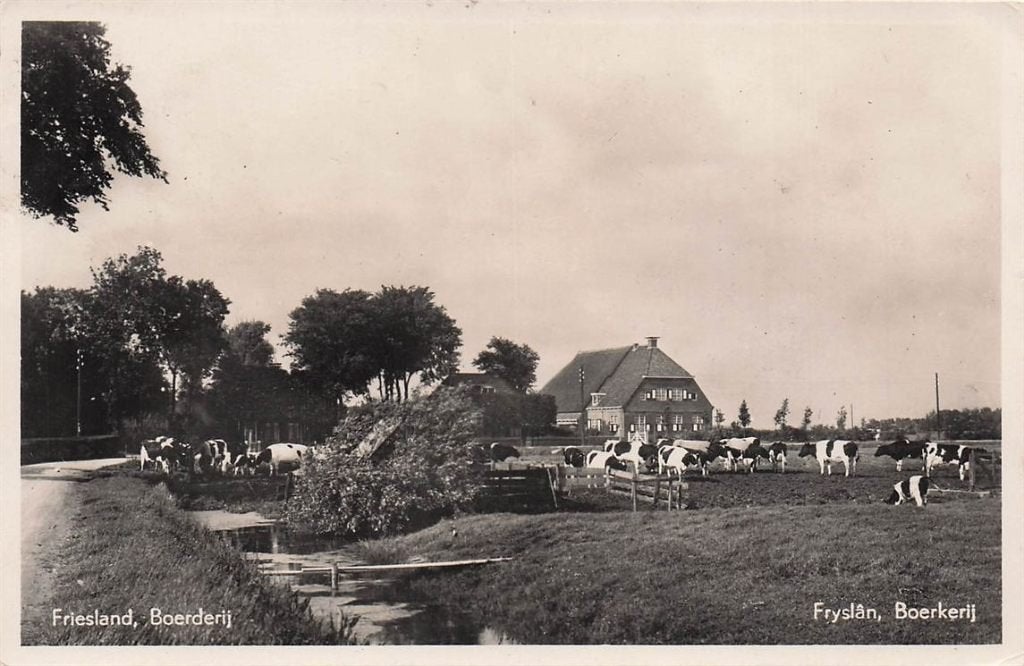703-033-017 Friesland Boerderij, Verzenden, Voor 1920, Friesland