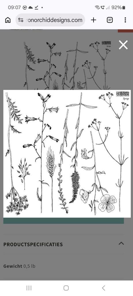 GEZOCHT: IOD IRON ORCHID DESIGNS STEMPELS NATUUR VOGEL BOMEN, Ophalen of Verzenden, Zo goed als nieuw, Clearstamp