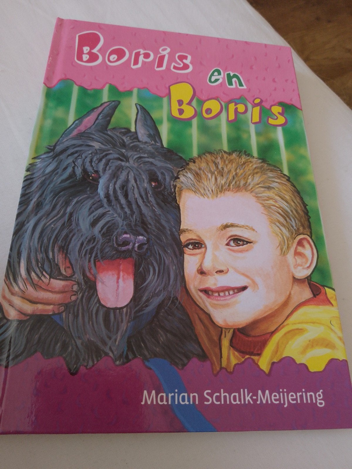 Boris en Boris - Marian Schalk-Meijering, Ophalen of Verzenden, Zo goed als nieuw, Marian Schalk-Meijering, Fictie algemeen