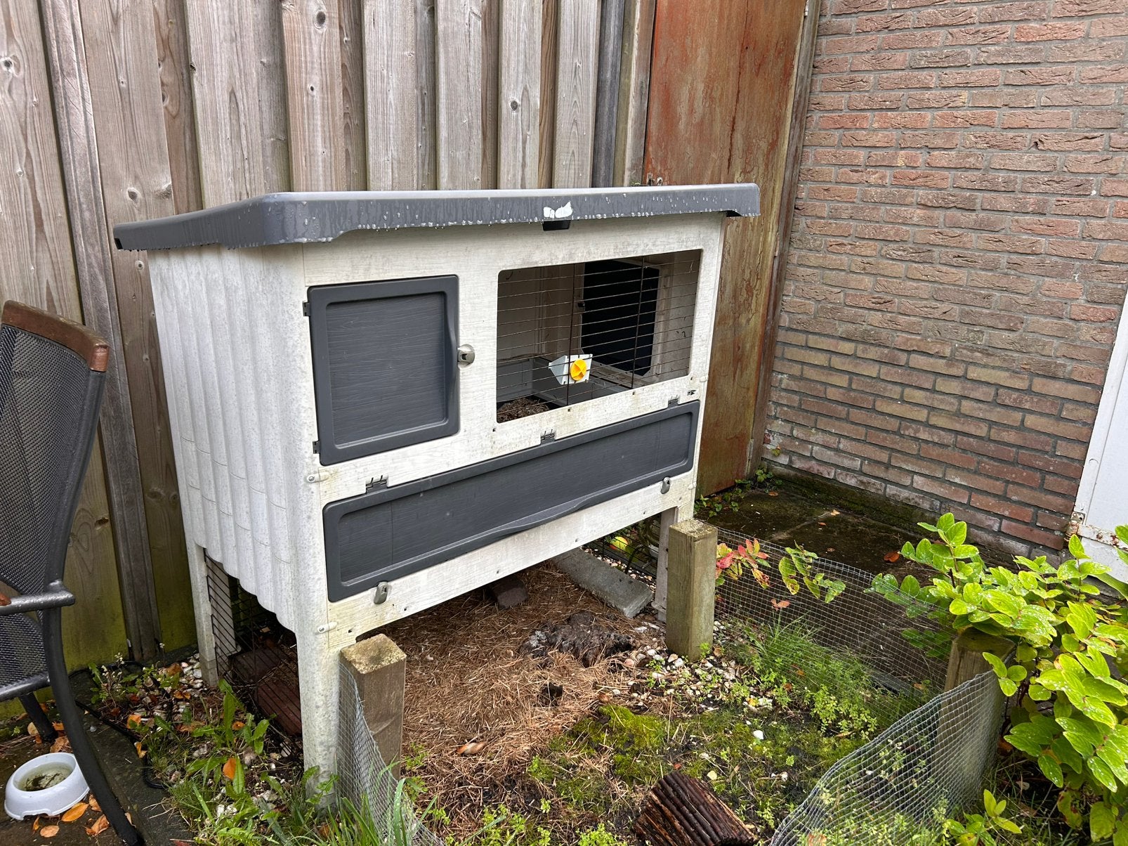 Cavia hok in goede staat inckusief toebehoren, 110 cm of meer, Zo goed als nieuw, Hok, Cavia