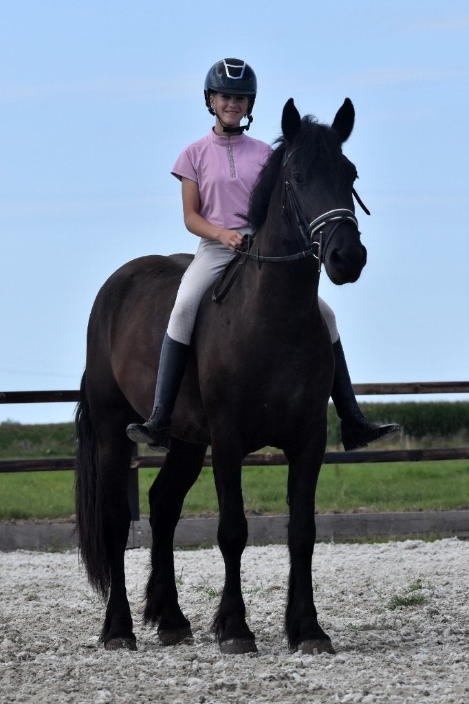 ## GEWELDIGE, vriendelijke en mega brave zwarte Merrie ##, Dieren en Toebehoren, Paarden, Merrie, Met stamboom, 3 tot 6 jaar, 160 tot 165 cm