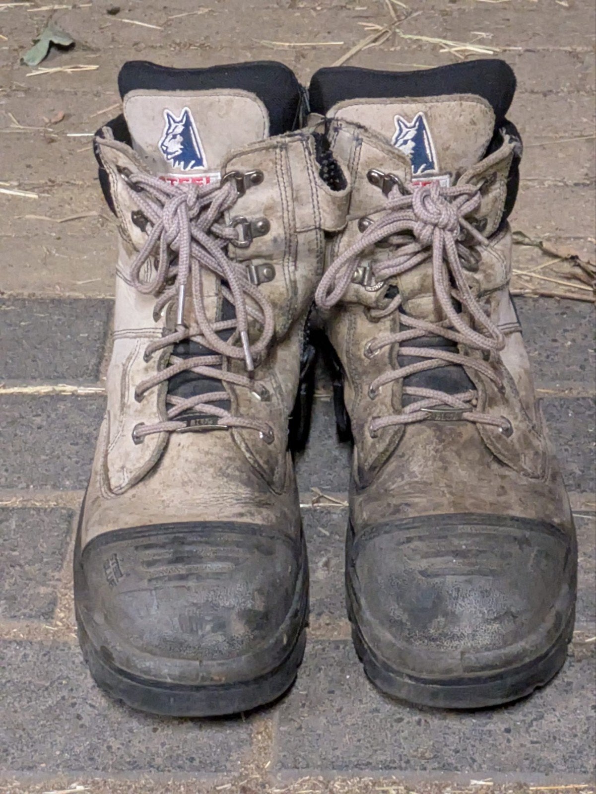 Gebruikte steel Blue veiligheidsschoenen maat 46, Tuin en Terras, Gebruikt, Heren, Schoenen, Ophalen of Verzenden