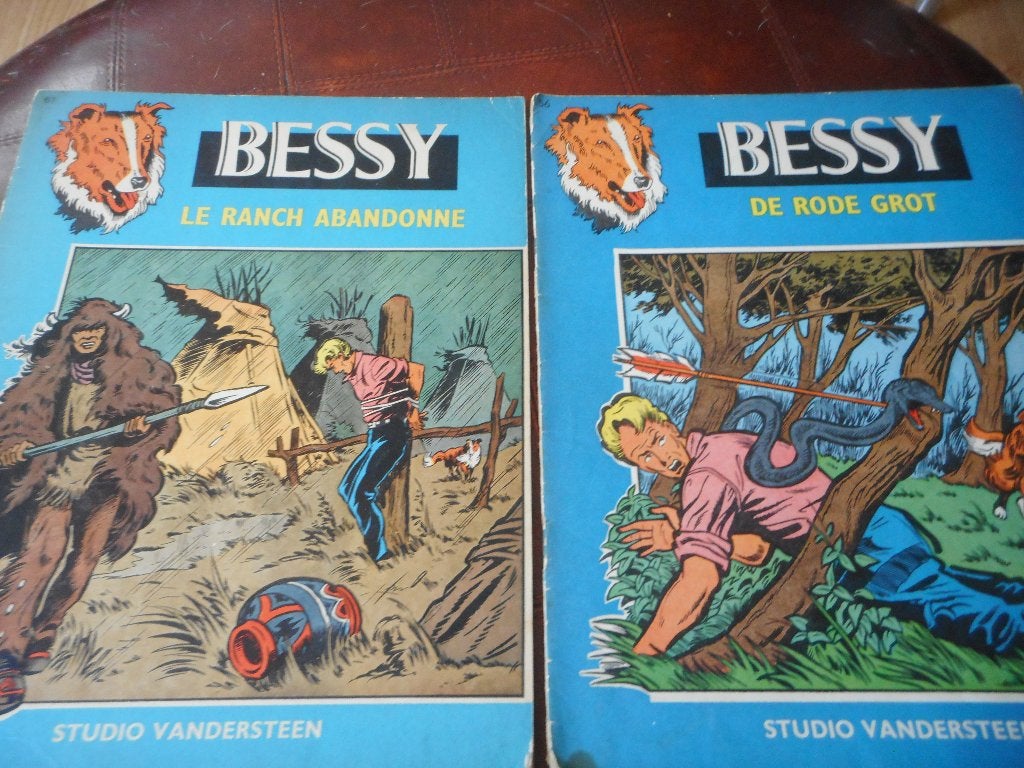 strips BESSY, Gelezen, Willy Vandersteen, Ophalen of Verzenden, Meerdere stripboeken