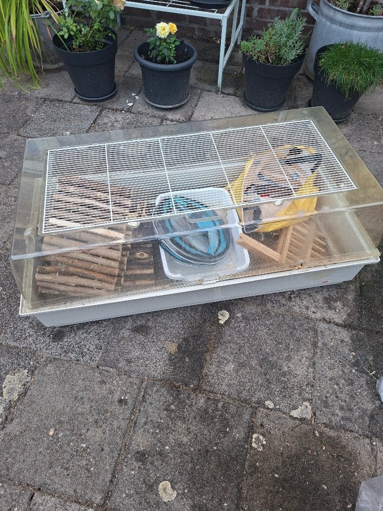 Caviakooi met toebehoren..., Dieren en Toebehoren, Ophalen, Gebruikt, Overige typen