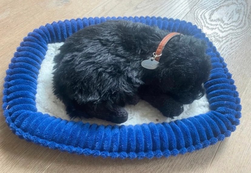 Perfect petzzz Soft labrador zwart, Overige karakters, Zwart, Zo goed als nieuw, Hond