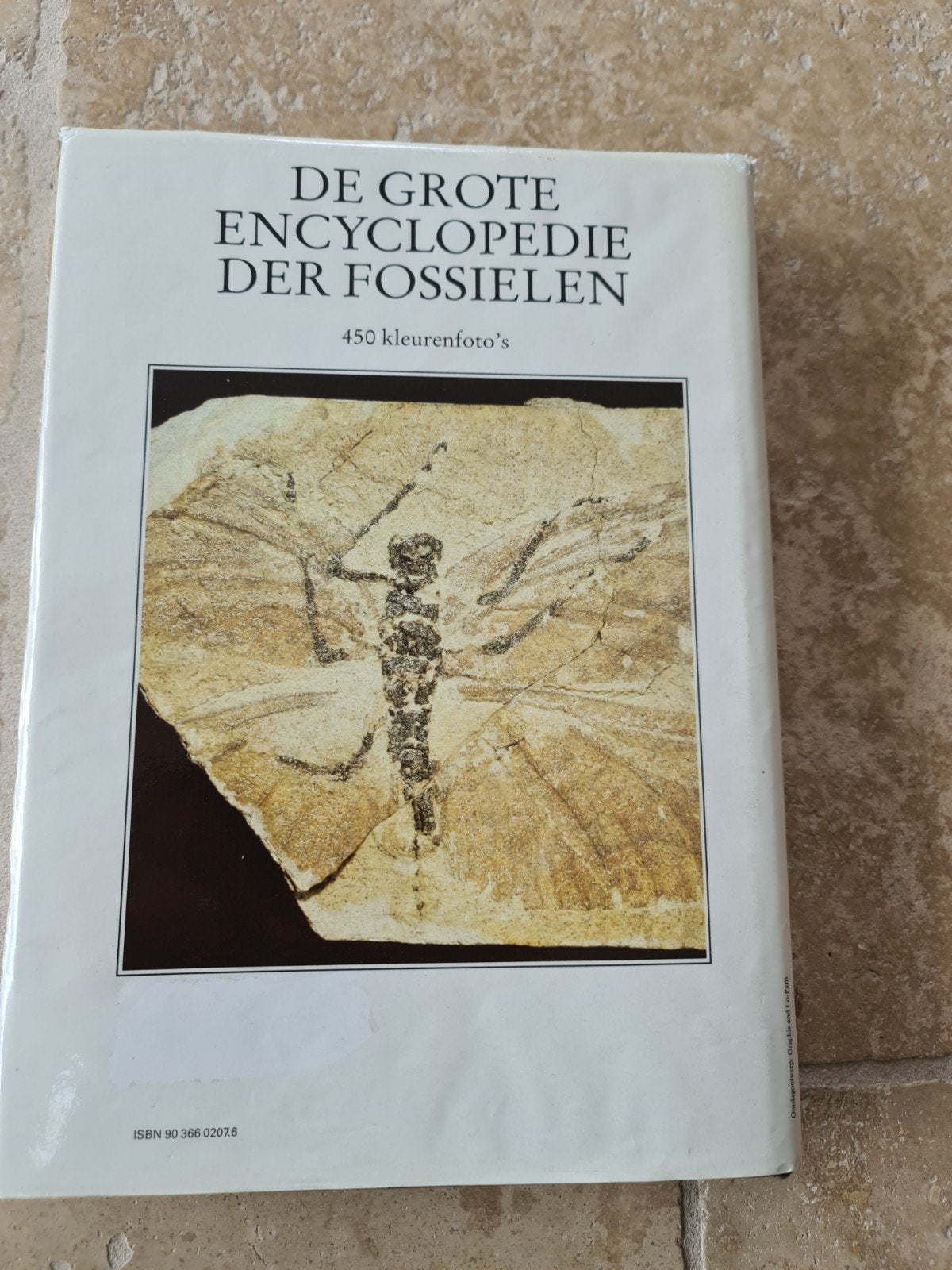 De Grote Encyclopedie der Fossielen - Rebo Productions, Ophalen of Verzenden, Overige onderwerpen