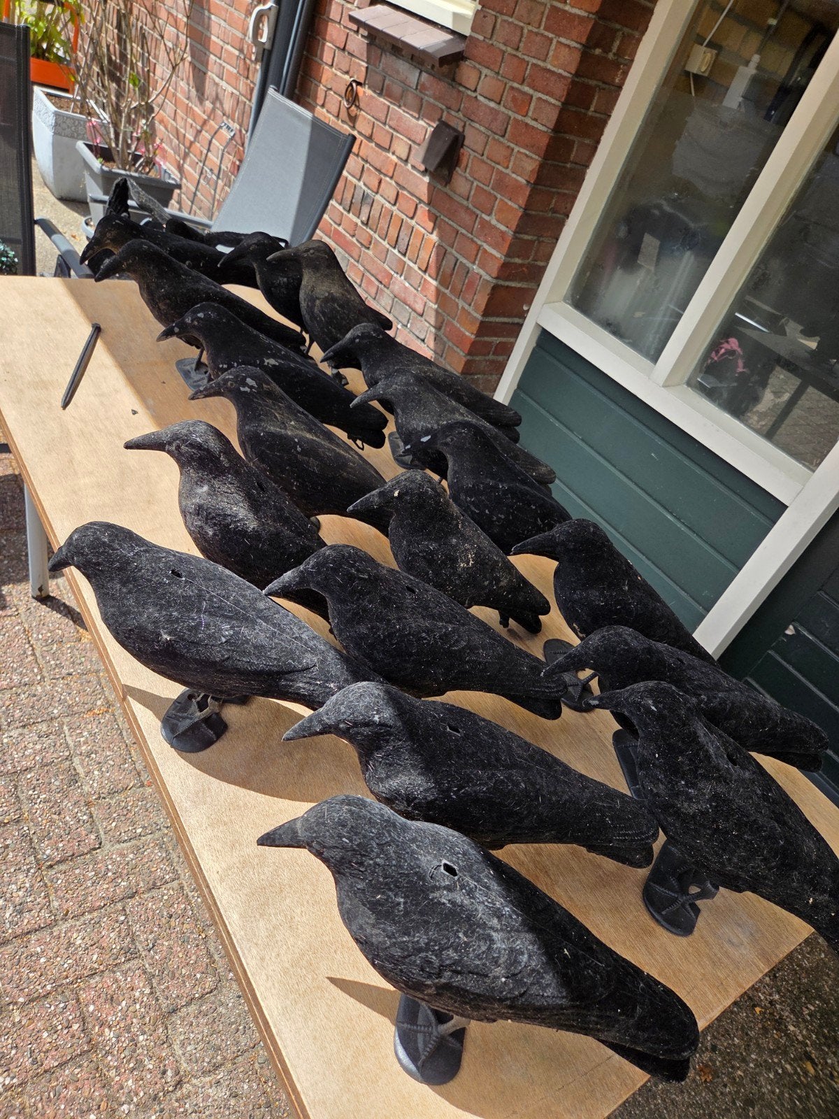 18 fluwelen lok kraaien met losse poten prijs is per stuk, Ophalen