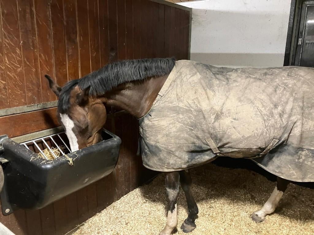 Slowfeeder, Toebehoren, 1 paard of pony