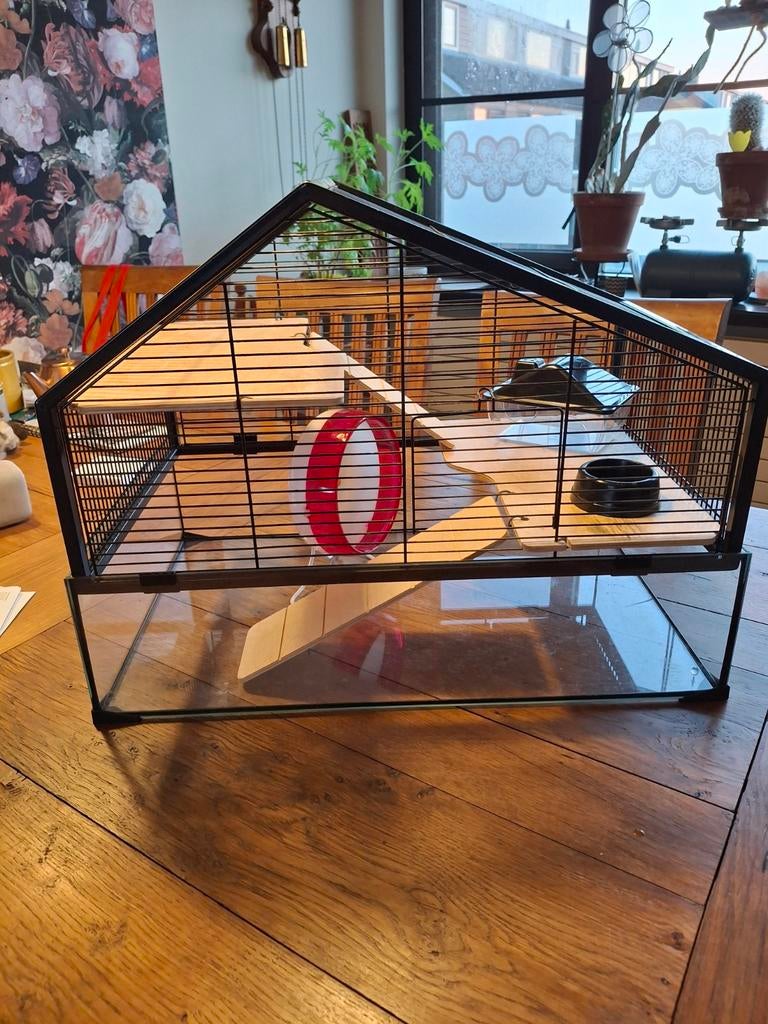 Hamsterhok zwart met glazen bak, Minder dan 60 cm, Gebruikt, Minder dan 75 cm, Ophalen of Verzenden